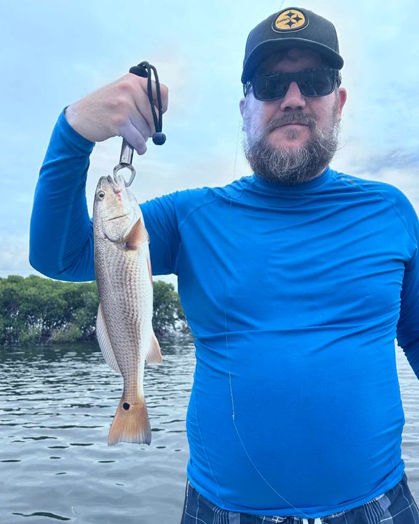Tops Charters