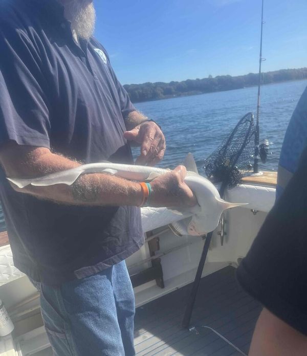 Captain Cook Charters