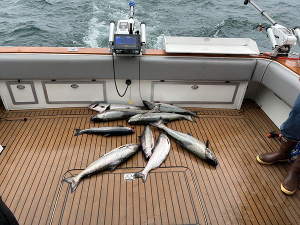 Diamond J Charters