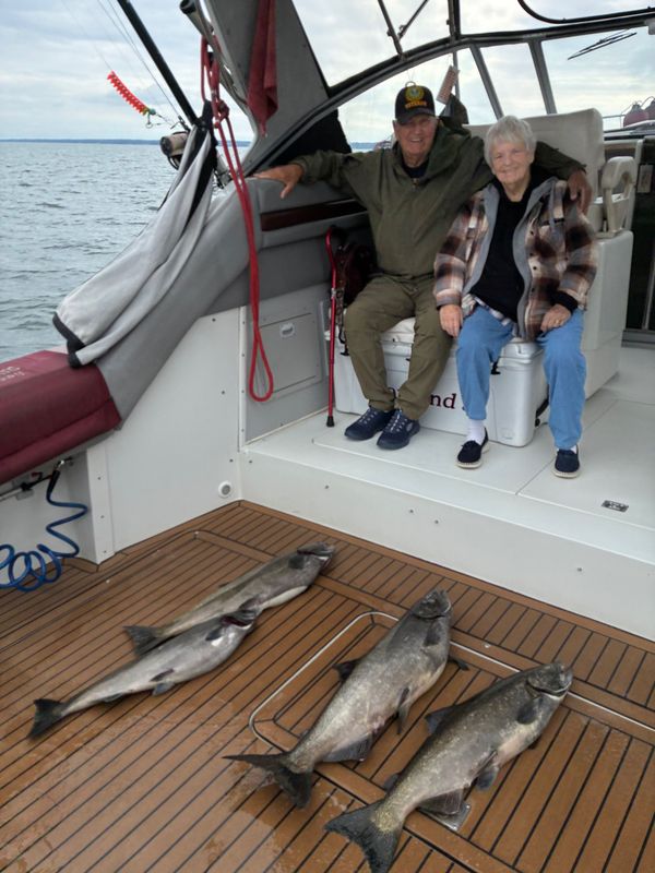 Diamond J Charters
