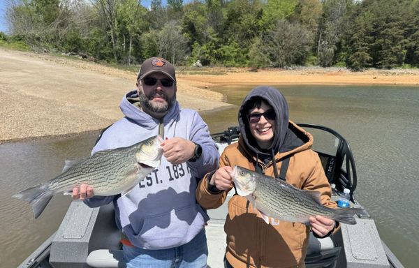 Cherokee Lake Fishing Charter