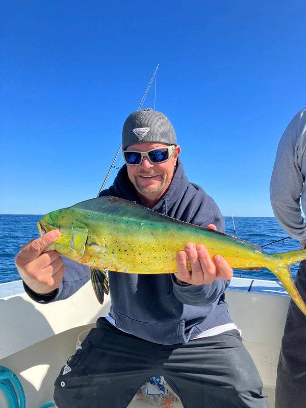 Bottom Line Sportfishing