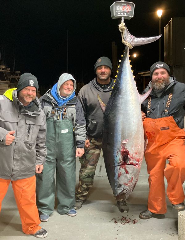 Bottom Line Sportfishing