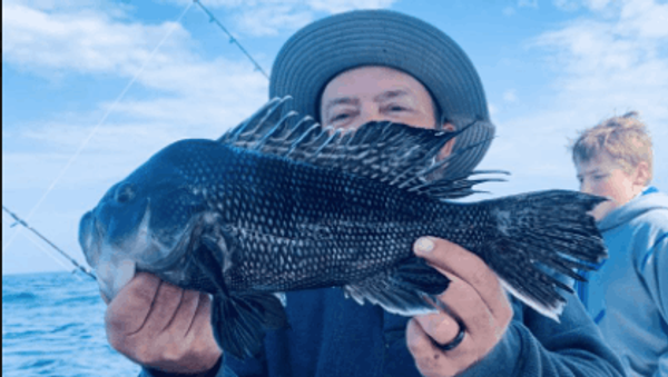 Chasing Tail Charters