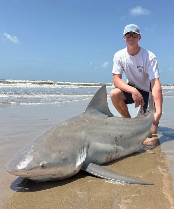Gulf Coast Yaker’s Land Based Shark Fishing