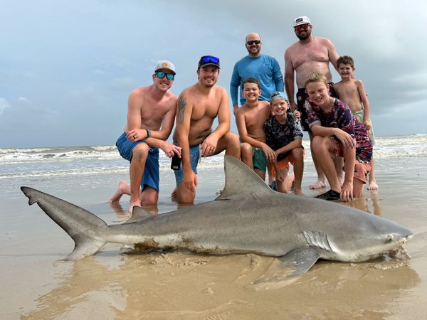 Gulf Coast Yaker’s Land Based Shark Fishing