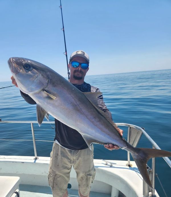 Native Son's Charters