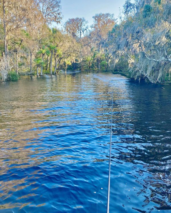 Clearwater Flats Fishing