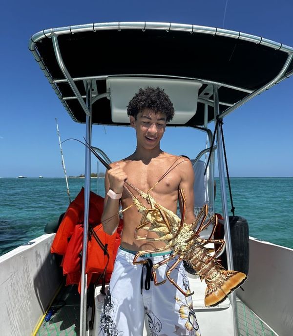 Paradise Adventures 242