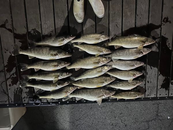 K2 Fishing Charters