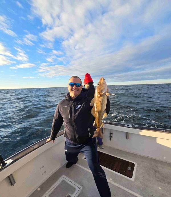 10 Point Charters