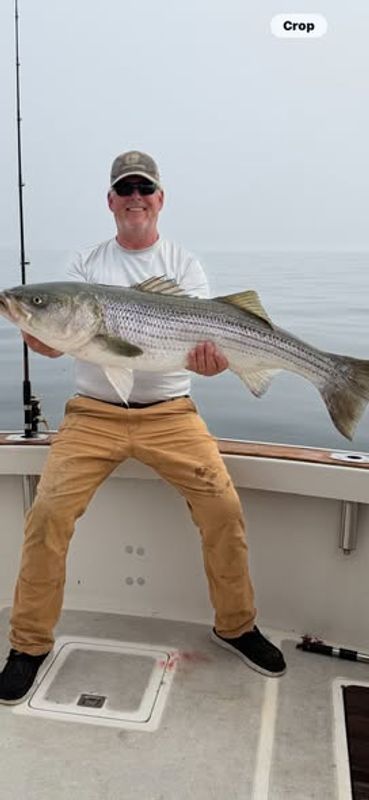 10 Point Charters