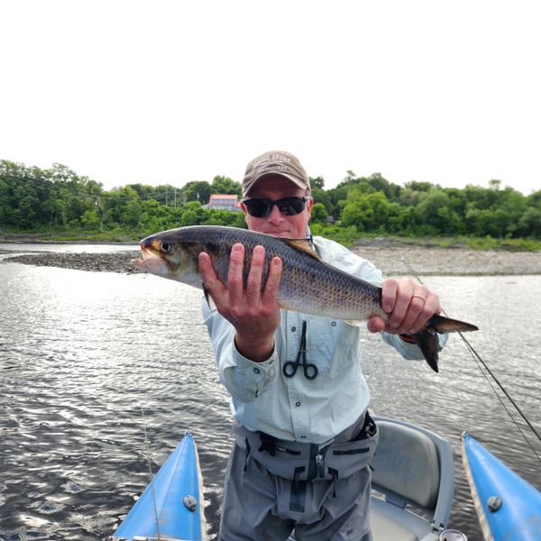 Maine Upland Guide Service