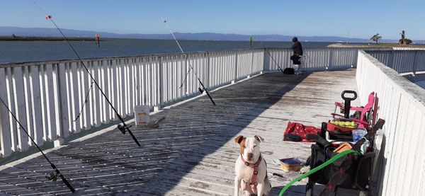 WestCoast Eclectic Pier Fishing