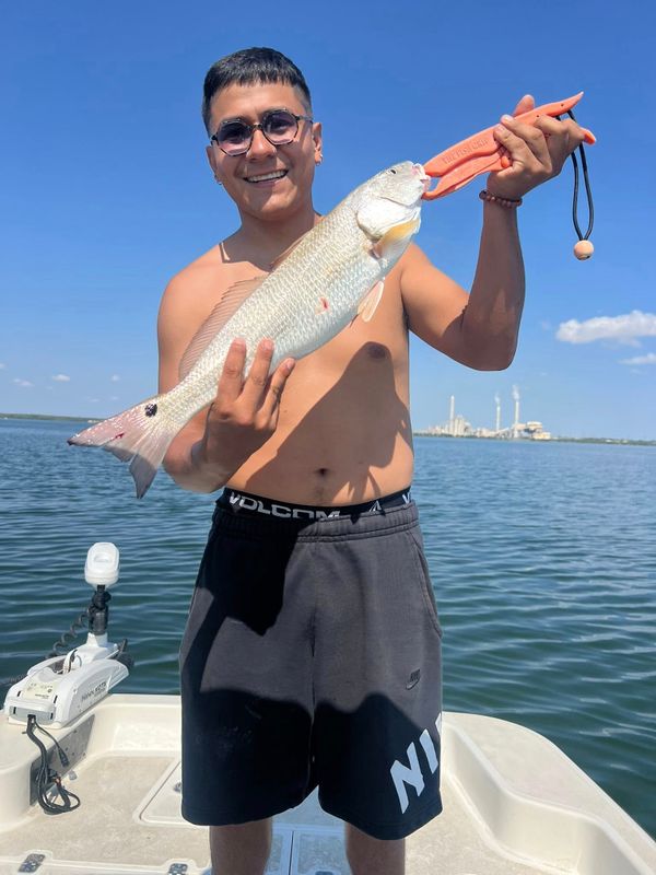 SAction Fishing Guide