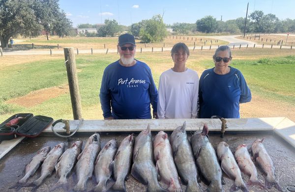 SAction Fishing Guide