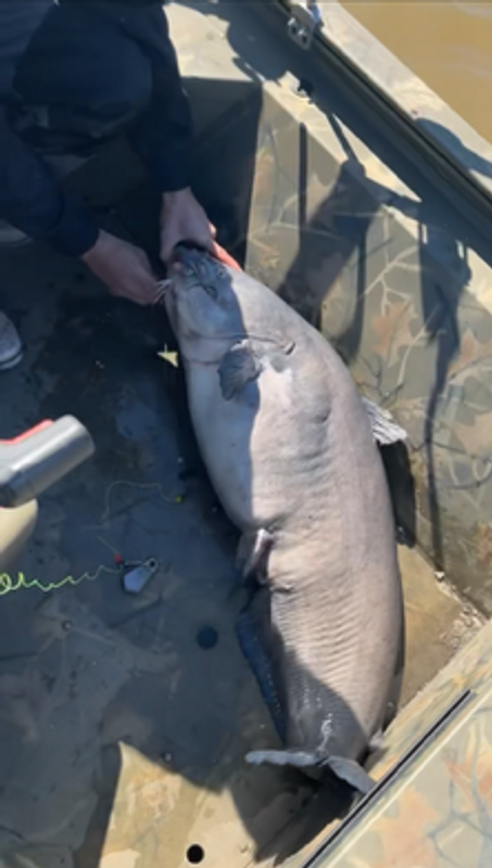 Hell on Reels Guide Service