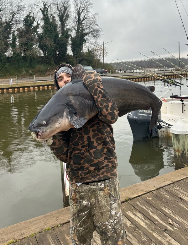 Hell on Reels Guide Service