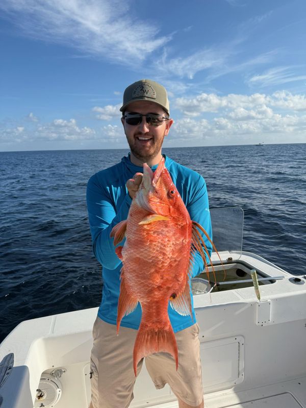 Big Buford Sportfishing