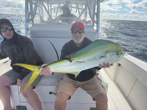 Big Buford Sportfishing