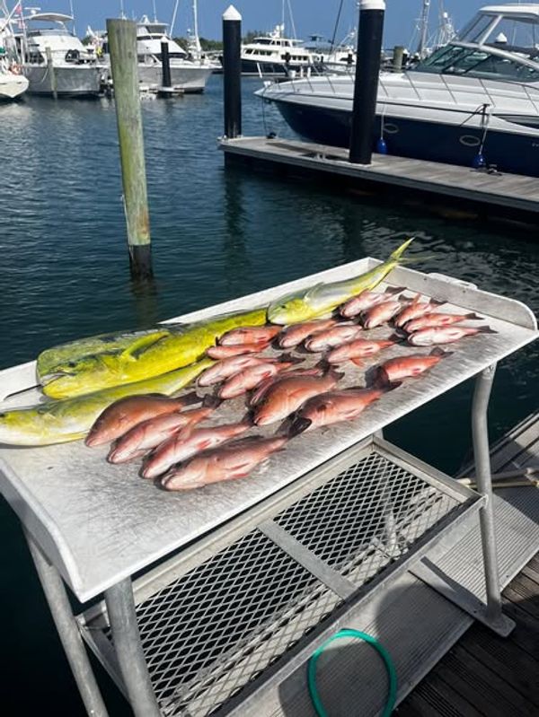 Big Buford Sportfishing