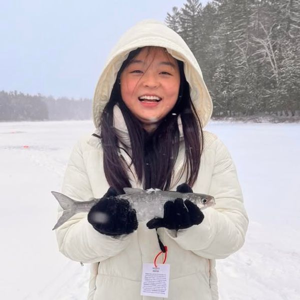 Battle Fish University