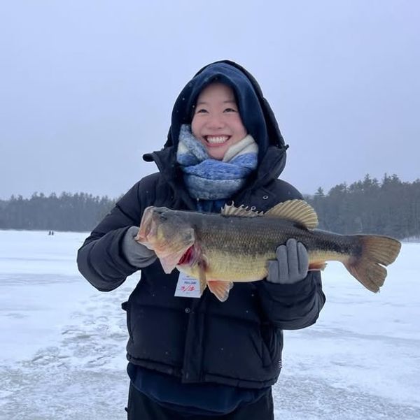 Battle Fish University