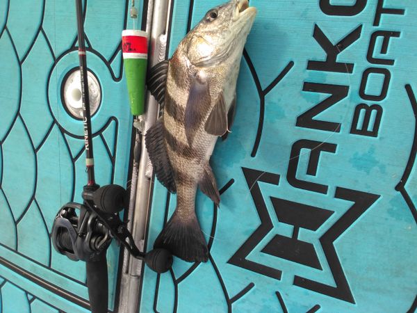 Capt. Dave’s Sport Fishing