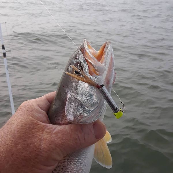 Capt. Dave’s Sport Fishing