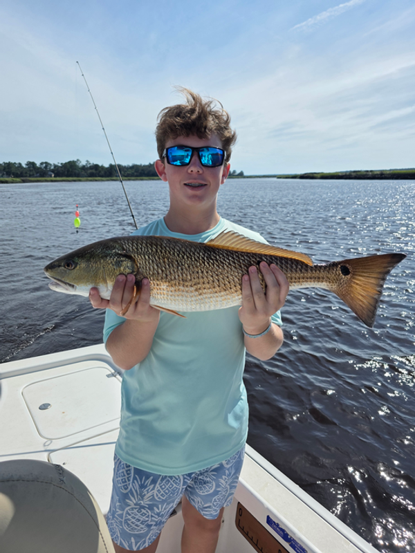 Southern Sport Fishing Charters