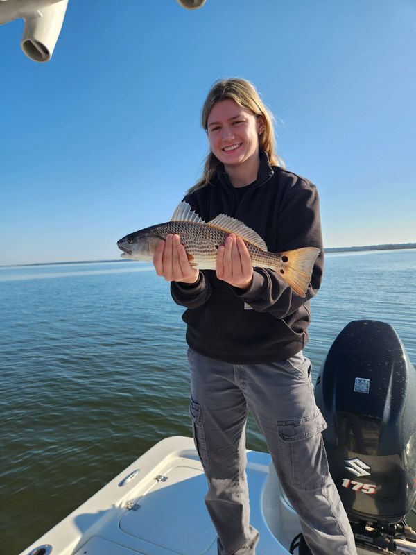 Southern Sport Fishing Charters