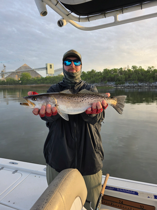 Southern Sport Fishing Charters