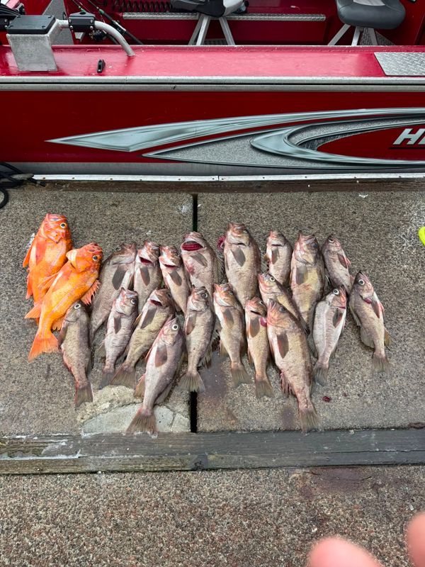 Josh Sutch Guide Service