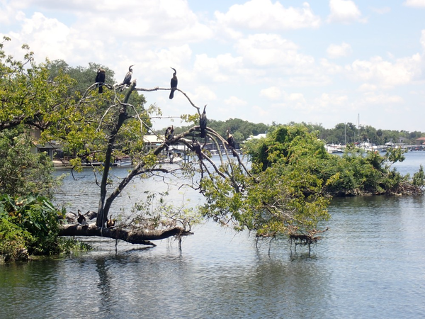 Nature's Adventure Center