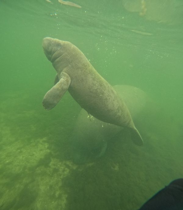 Nature's Adventure Center