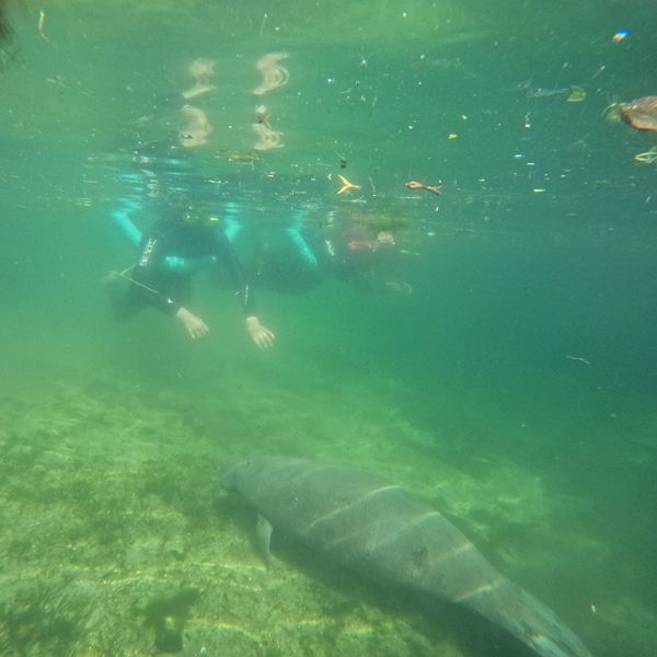 Nature's Adventure Center