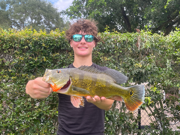 Jake's Shoreline Peacock Bass Fishing