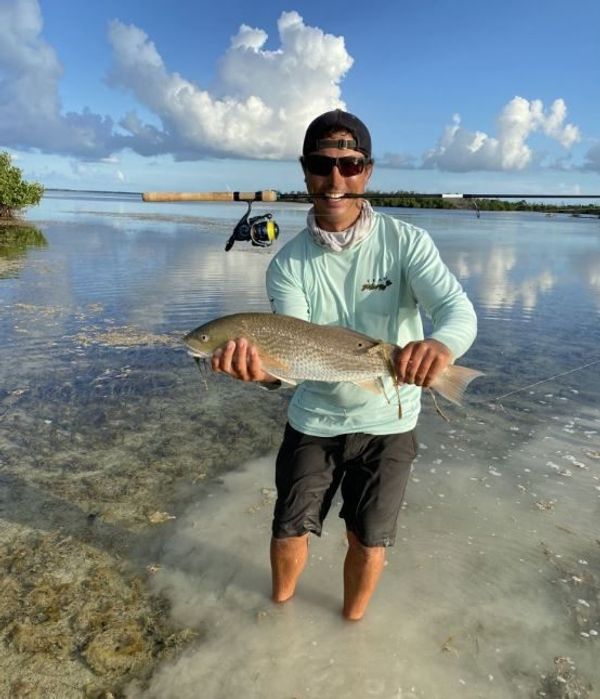 ZFG Fishing