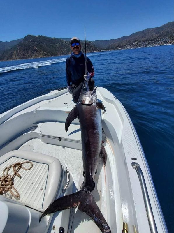Xiphias Fish Company LLC