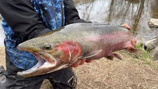 Skys Limit Guide Service