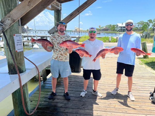 Reel Fishin' Charters