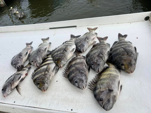 Reel Fishin' Charters