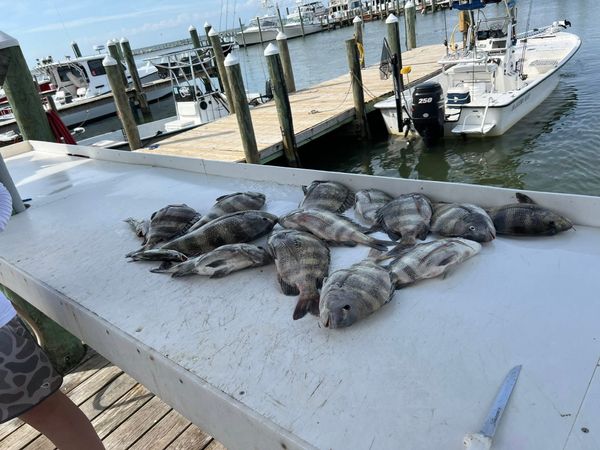Reel Fishin' Charters