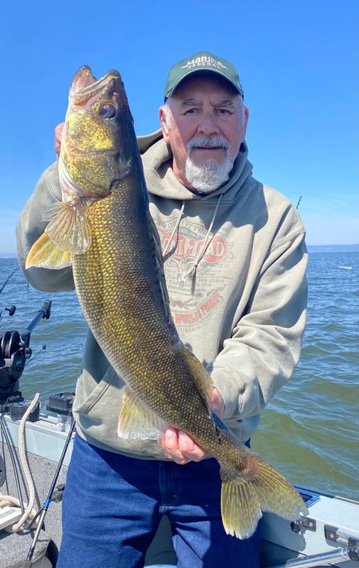 Fish Of The Gitch