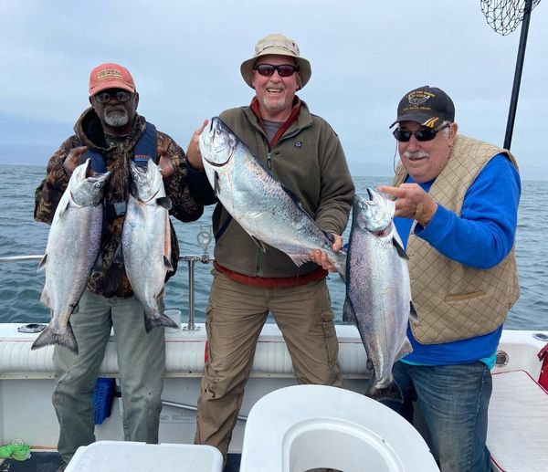 Hook'd Up Sportfishing