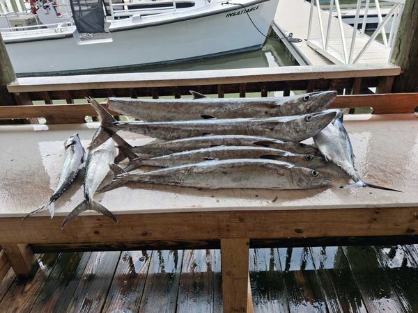 Jettie Rocks Fishing Charters