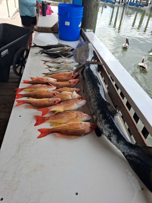 Jettie Rocks Fishing Charters