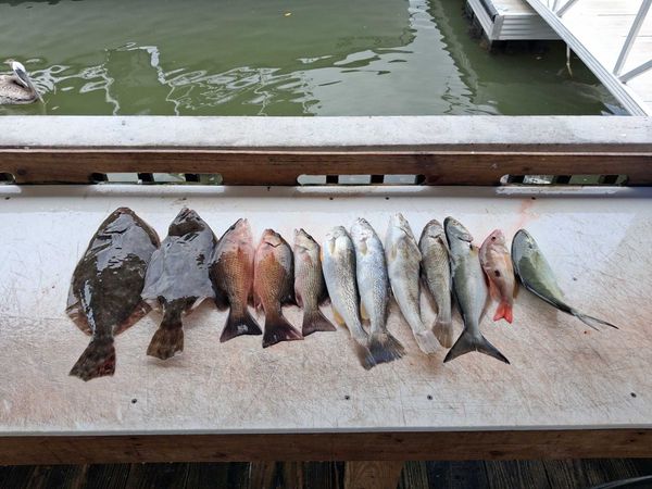 Jettie Rocks Fishing Charters