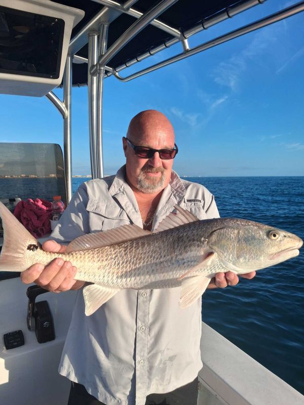 Jettie Rocks Fishing Charters