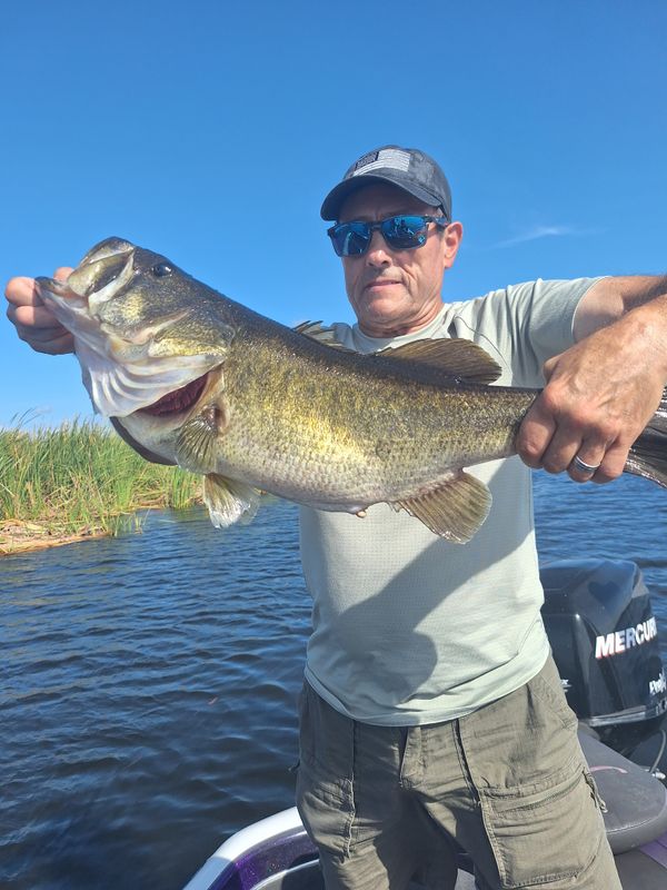 One Cast Away: Bass Professional Guide Service